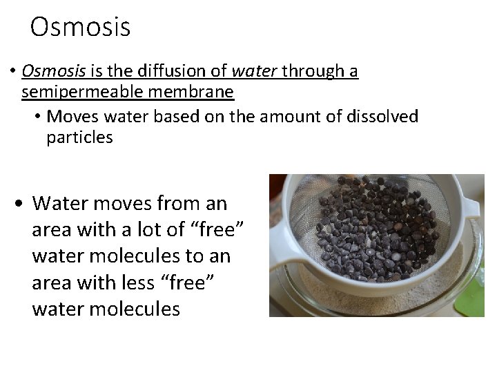 Osmosis • Osmosis is the diffusion of water through a semipermeable membrane • Moves