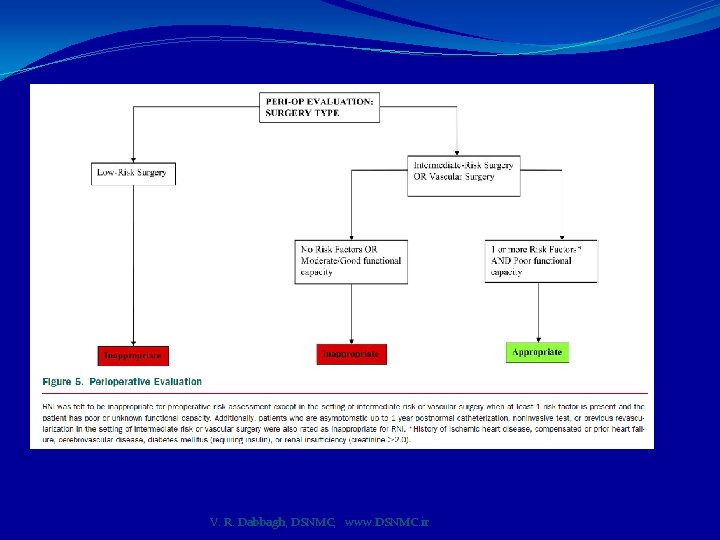 V. R. Dabbagh, DSNMC; www. DSNMC. ir 