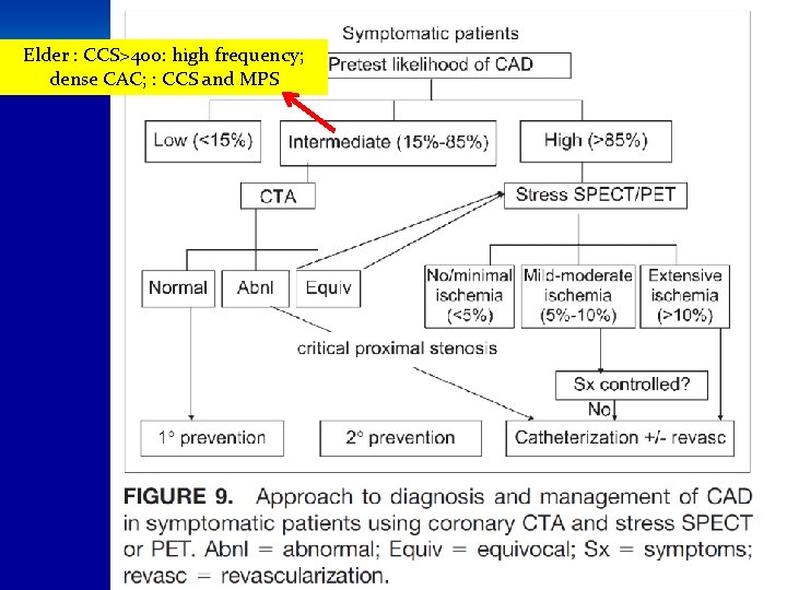 Elder : CCS>400: high frequency; dense CAC; : CCS and MPS V. R. Dabbagh,