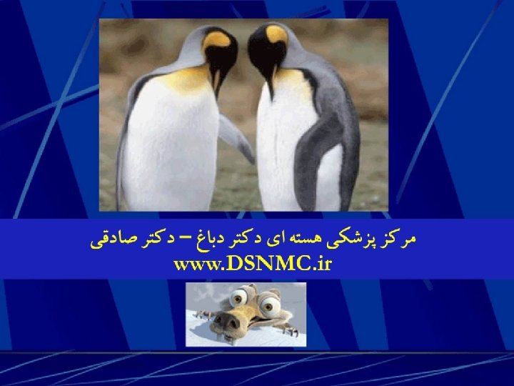 V. R. Dabba gh; DSNMC; www. DSN MC. ir 