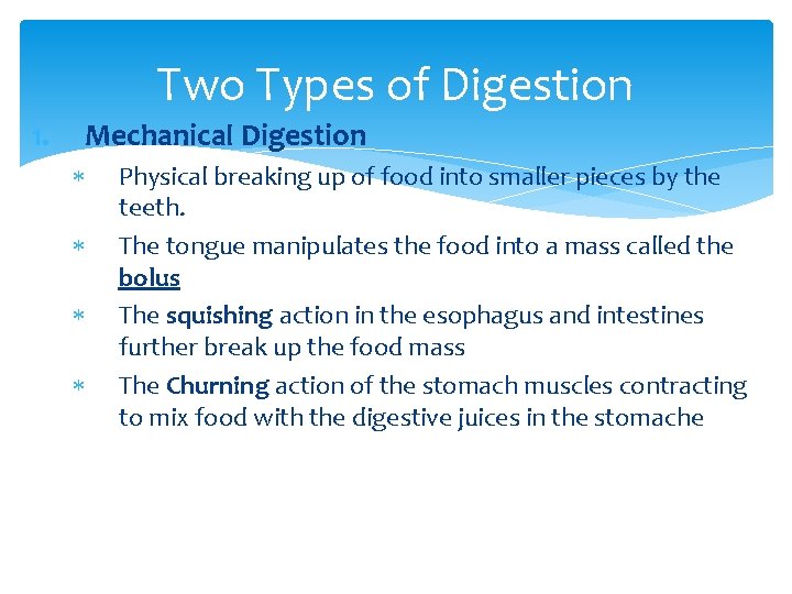 Two Types of Digestion 1. Mechanical Digestion Physical breaking up of food into smaller