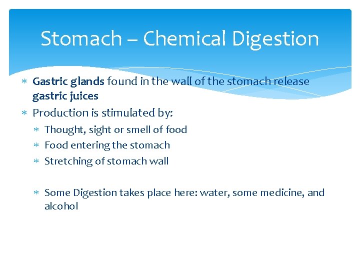 Stomach – Chemical Digestion Gastric glands found in the wall of the stomach release