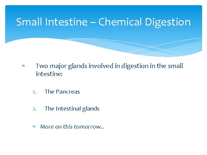 Small Intestine – Chemical Digestion Two major glands involved in digestion in the small