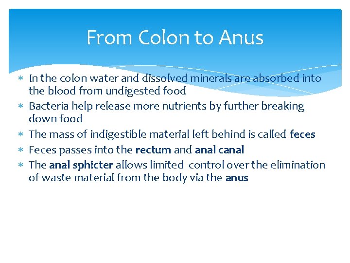 From Colon to Anus In the colon water and dissolved minerals are absorbed into