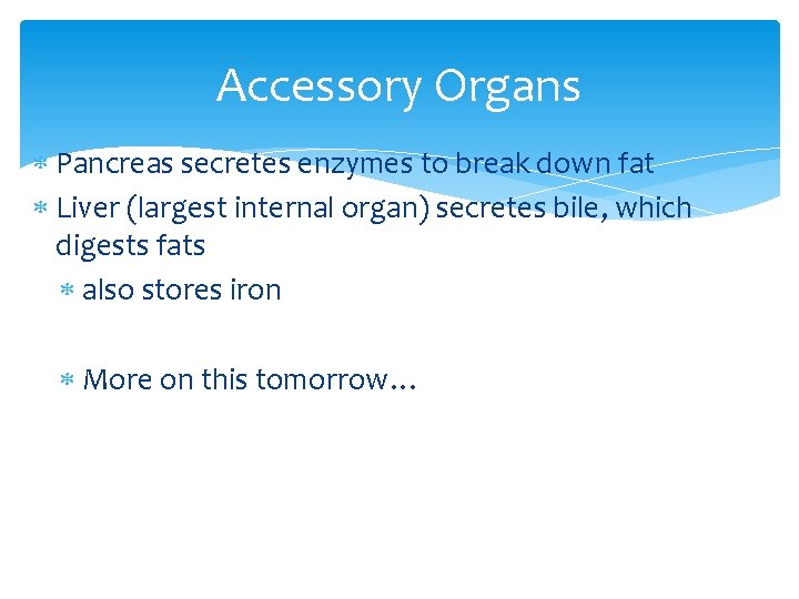 Accessory Organs Pancreas secretes enzymes to break down fat Liver (largest internal organ) secretes