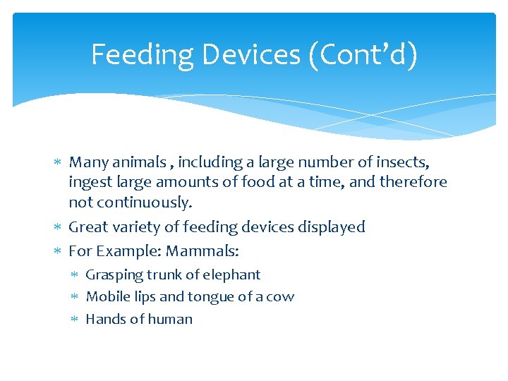 Feeding Devices (Cont’d) Many animals , including a large number of insects, ingest large