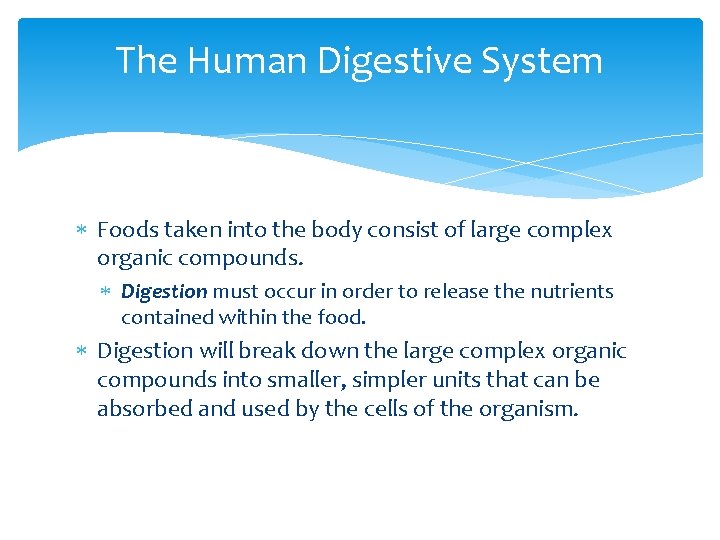 The Human Digestive System Foods taken into the body consist of large complex organic