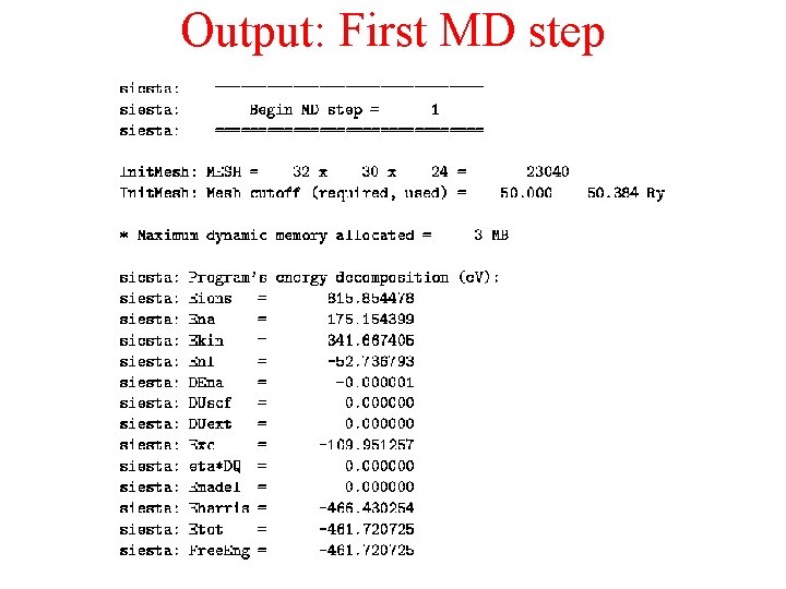 Output: First MD step 