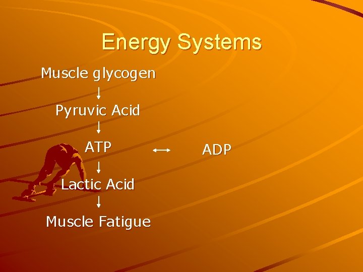 Energy Systems Muscle glycogen Pyruvic Acid ATP Lactic Acid Muscle Fatigue ADP 