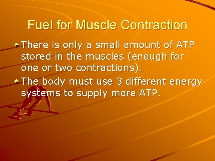 Fuel for Muscle Contraction There is only a small amount of ATP stored in