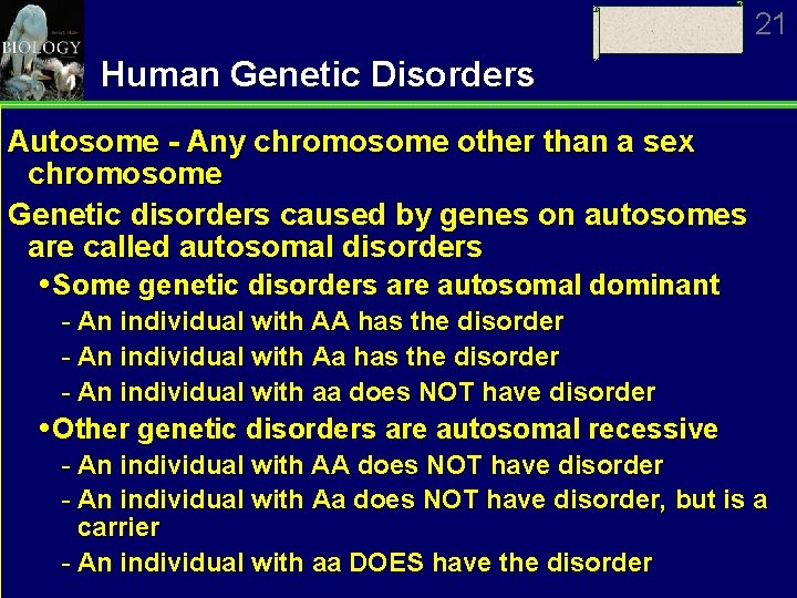 21 Human Genetic Disorders Autosome - Any chromosome other than a sex chromosome Genetic