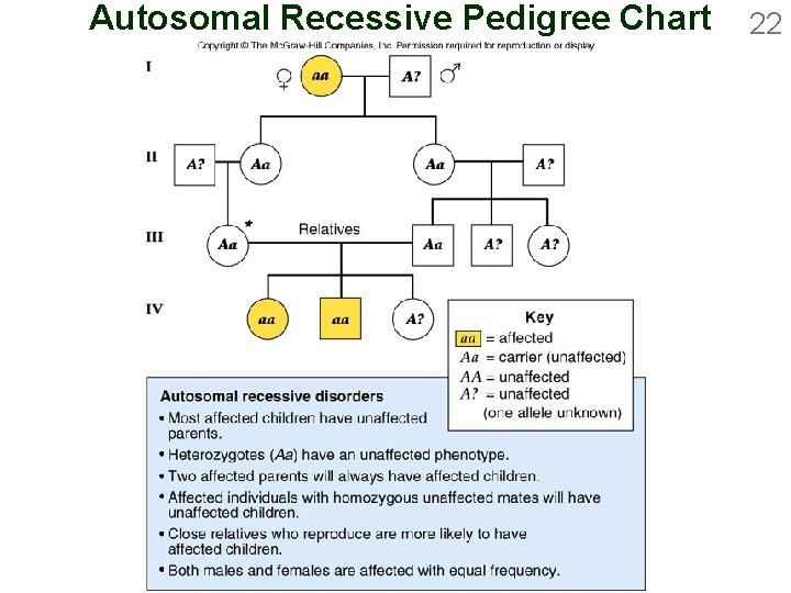 Autosomal Recessive Pedigree Chart 22 