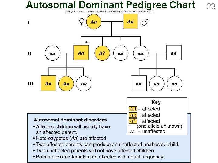 Autosomal Dominant Pedigree Chart 23 