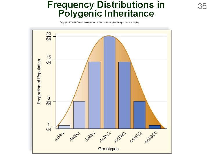 Frequency Distributions in Polygenic Inheritance 35 