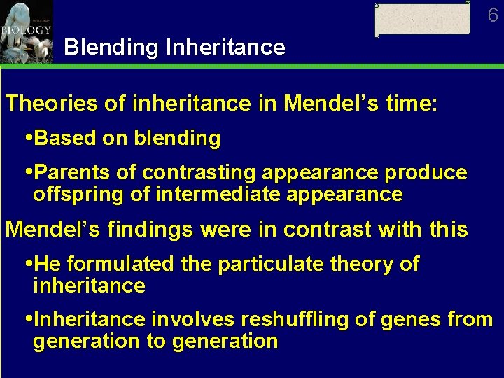 6 Blending Inheritance Theories of inheritance in Mendel’s time: Based on blending Parents of