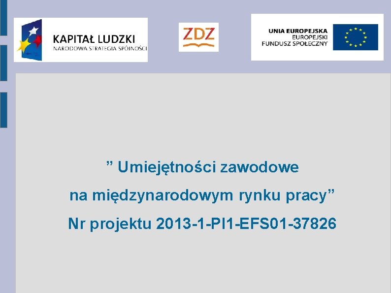 ” Umiejętności zawodowe na międzynarodowym rynku pracy” Nr projektu 2013 -1 -Pl 1 -EFS