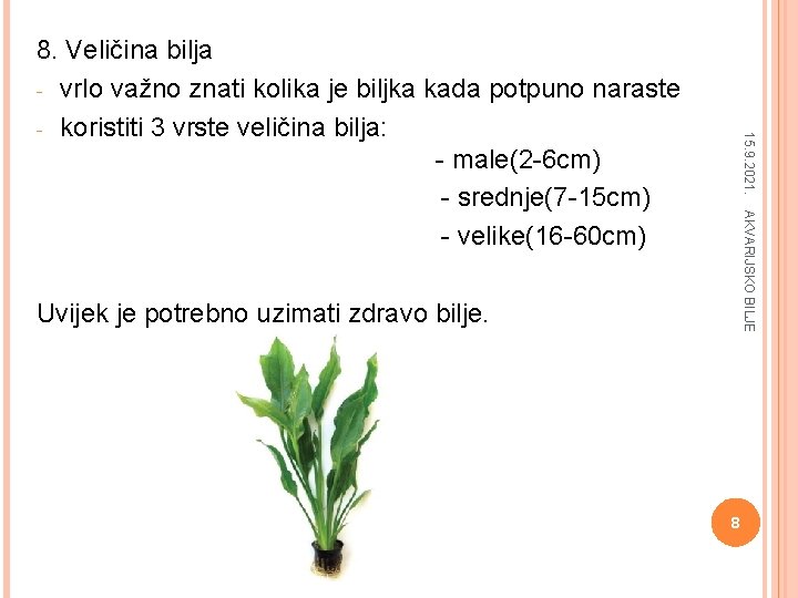15. 9. 2021. 8. Veličina bilja - vrlo važno znati kolika je biljka kada