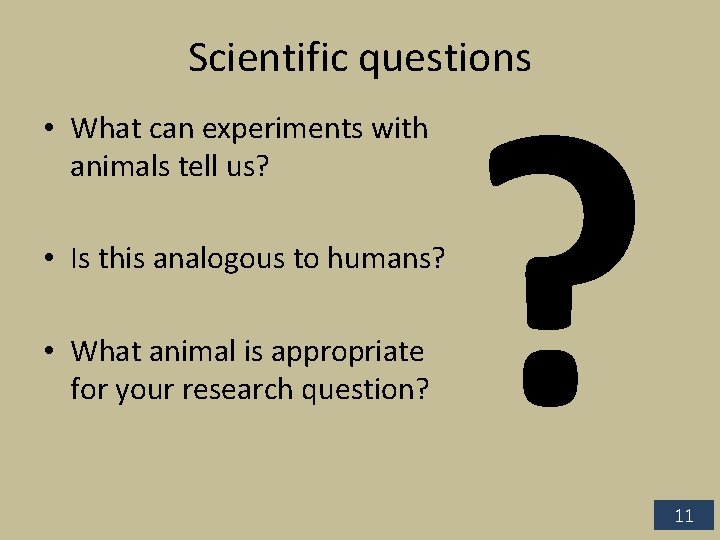 ? Scientific questions • What can experiments with animals tell us? • Is this