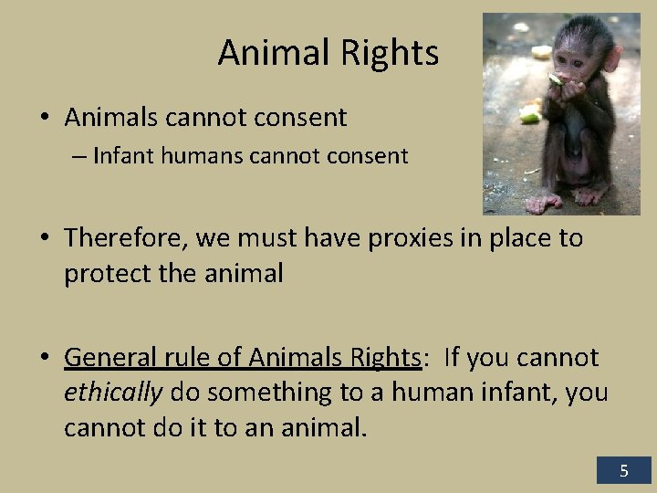 Animal Rights • Animals cannot consent – Infant humans cannot consent • Therefore, we