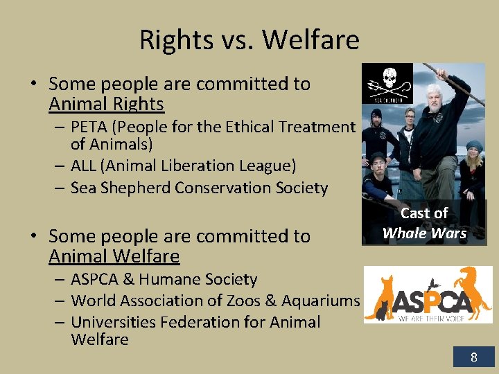 Rights vs. Welfare • Some people are committed to Animal Rights – PETA (People