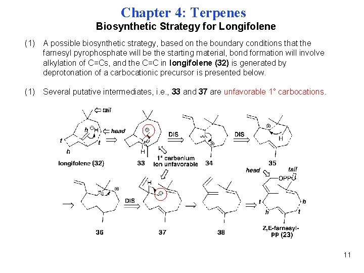 Chapter 4: Terpenes Biosynthetic Strategy for Longifolene (1) A possible biosynthetic strategy, based on