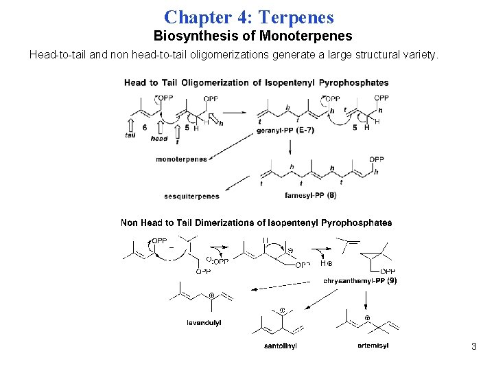 Chapter 4: Terpenes Biosynthesis of Monoterpenes Head-to-tail and non head-to-tail oligomerizations generate a large