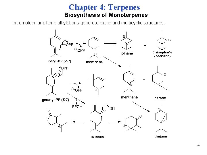 Chapter 4: Terpenes Biosynthesis of Monoterpenes Intramolecular alkene alkylations generate cyclic and multicyclic structures.