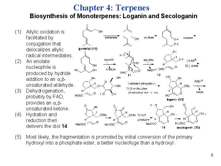 Chapter 4: Terpenes Biosynthesis of Monoterpenes: Loganin and Secologanin (1) Allylic oxidation is facilitated