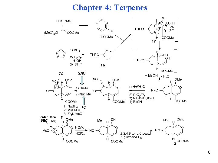 Chapter 4: Terpenes SAC TC 8 