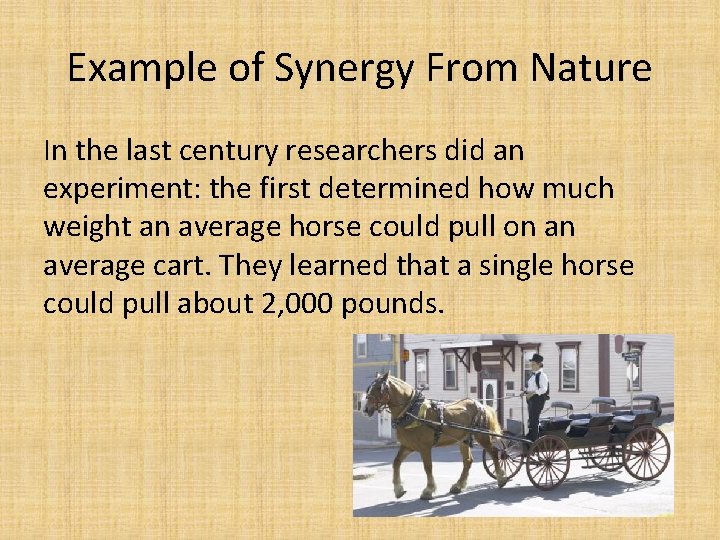 Example of Synergy From Nature In the last century researchers did an experiment: the