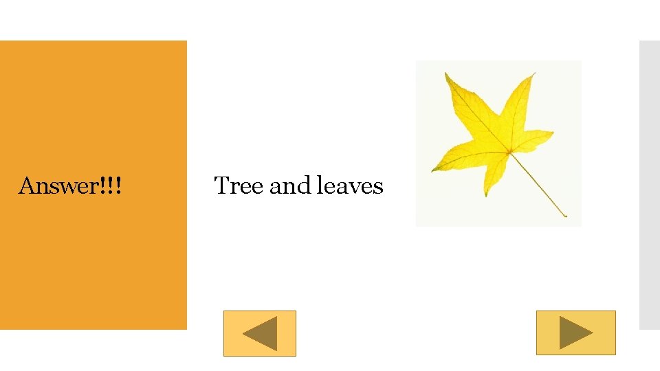 Parts of Speech By Miss Fivie Click here