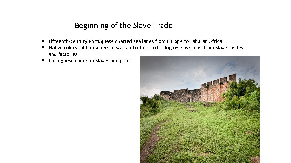 Beginning of the Slave Trade § Fifteenth-century Portuguese charted sea lanes from Europe to