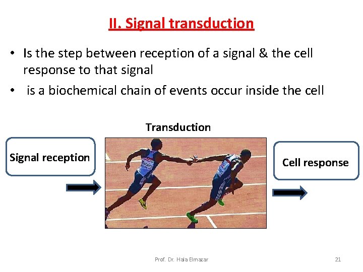 II. Signal transduction • Is the step between reception of a signal & the