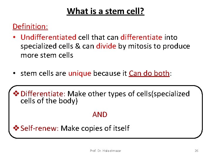 What is a stem cell? Definition: • Undifferentiated cell that can differentiate into specialized