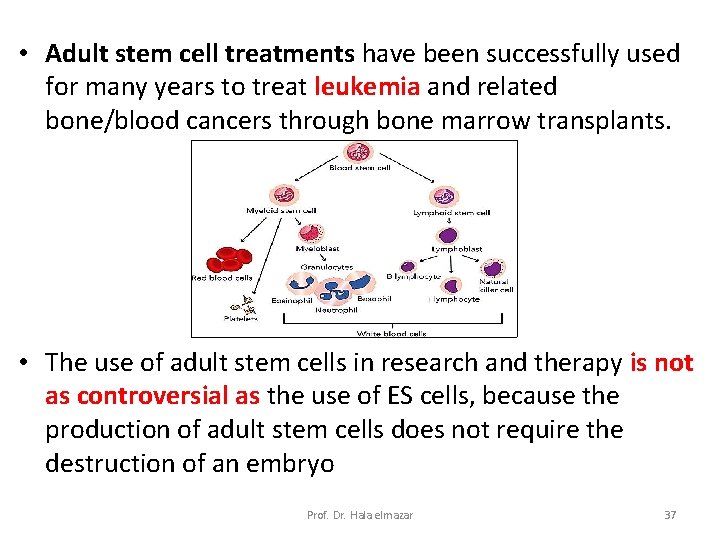  • Adult stem cell treatments have been successfully used for many years to