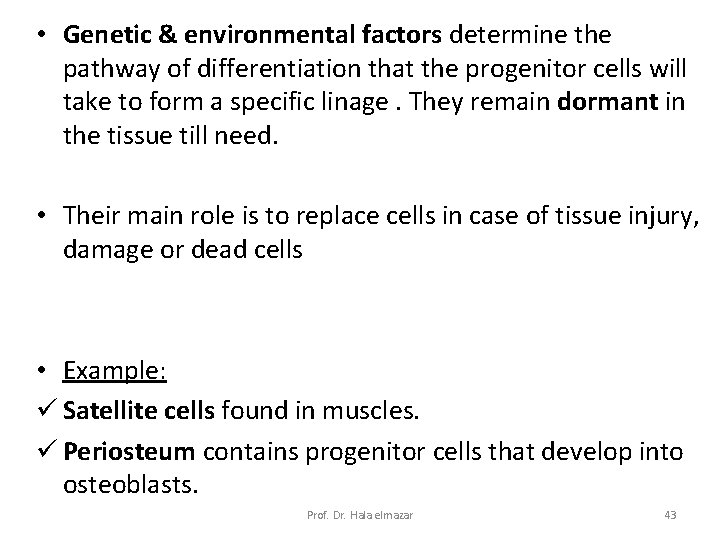  • Genetic & environmental factors determine the pathway of differentiation that the progenitor
