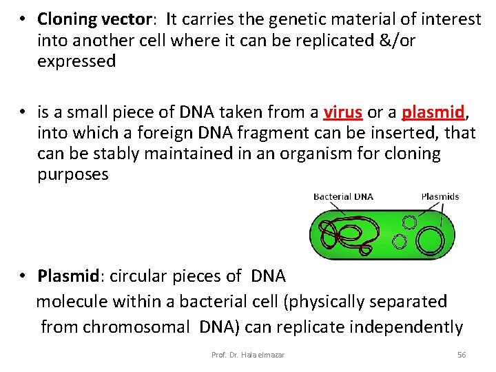  • Cloning vector: It carries the genetic material of interest into another cell