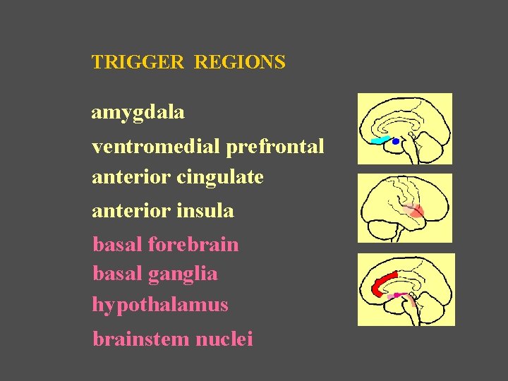 TRIGGER REGIONS amygdala ventromedial prefrontal anterior cingulate anterior insula basal forebrain basal ganglia hypothalamus