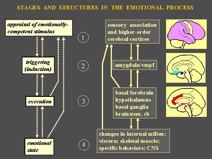 STAGES AND STRUCTURES IN THE EMOTIONAL PROCESS appraisal of emotionallycompetent stimulus triggering (induction) execution