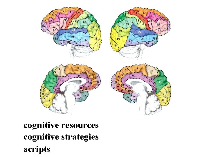 cognitive resources cognitive strategies scripts 