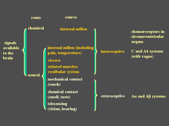 source route chemical signals available to the brain internal milieu (including pain, temperature) chemoreceptors