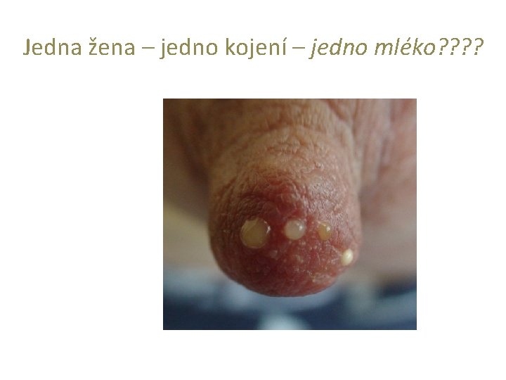 Jedna žena – jedno kojení – jedno mléko? ? 