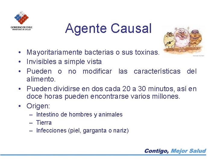 Agente Causal • Mayoritariamente bacterias o sus toxinas. • Invisibles a simple vista •