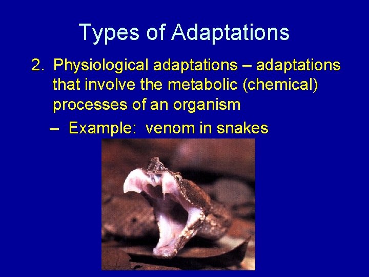 Types of Adaptations 2. Physiological adaptations – adaptations that involve the metabolic (chemical) processes