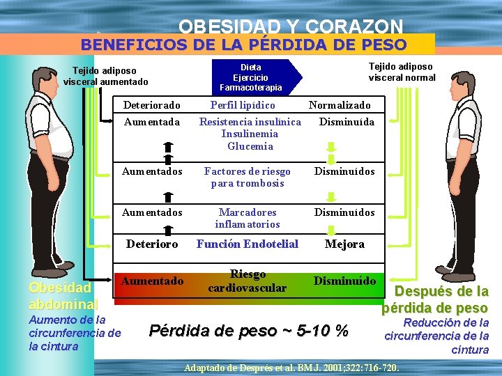 OBESIDAD Y CORAZON BENEFICIOS DE LA PÉRDIDA DE PESO Tejido adiposo visceral aumentado Deteriorado