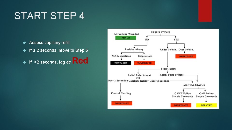 START STEP 4 Assess capillary refill If ≤ 2 seconds, move to Step 5
