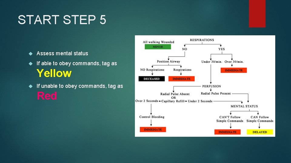START STEP 5 Assess mental status If able to obey commands, tag as Yellow