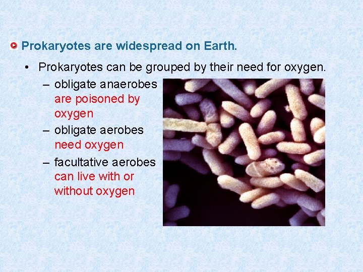 Prokaryotes are widespread on Earth. • Prokaryotes can be grouped by their need for