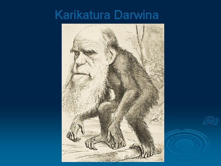 Karikatura Darwina 