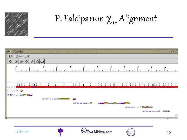 e. DNA 2/6/2022 P. Falciparum c 14 Alignment ©Bud Mishra, 2001 10 